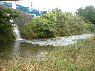 e0060485_22212346.jpg