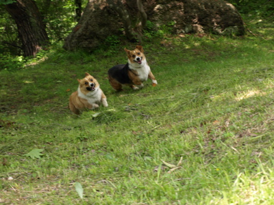 a0033493_26877.jpg