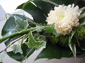 花のような人_a0107193_11252941.jpg
