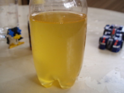 c0086895_10255686.jpg