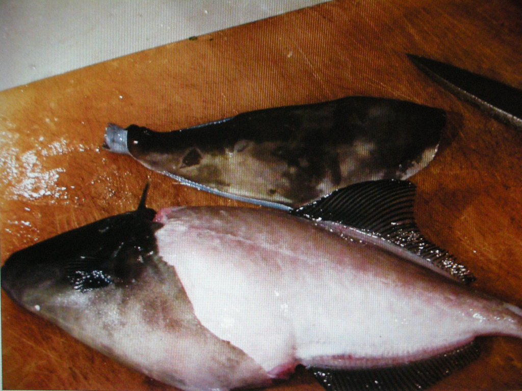 季節外れでもカワハギ 食事屋さん茶 間 営業後の一献