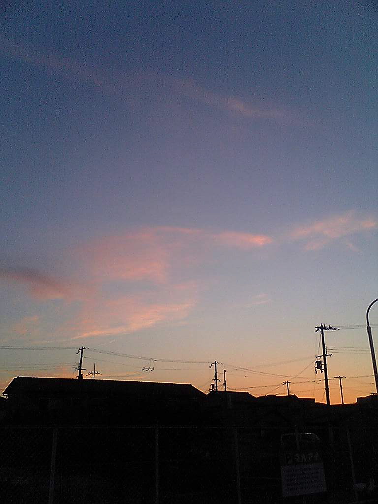 梅雨の中休み_d0077106_23523078.jpg
