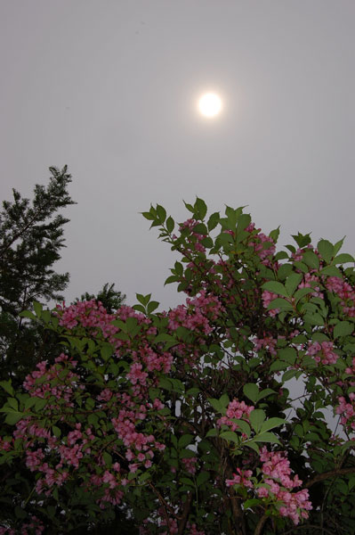 c0143722_01985.jpg