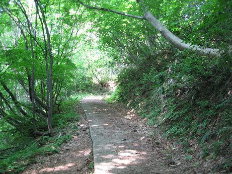 f0149422_1301545.jpg