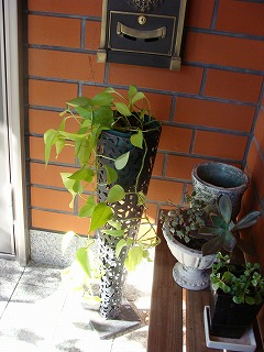f0170524_22353267.jpg