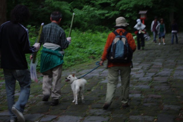 大山夏山開き祭 前夜祭_e0118825_23402957.jpg