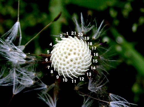b0143231_8241045.jpg