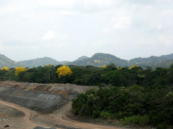 e0098241_1721681.jpg