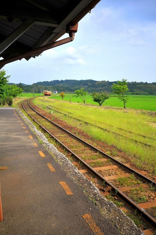 e0131161_20581261.jpg