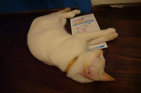 c0153966_22433775.jpg