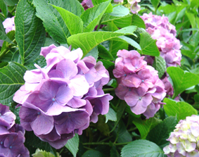 f0025970_265031.jpg
