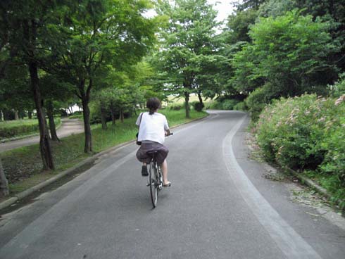 フリ~ スタイル シクロ クロ~ス!_f0170779_853405.jpg