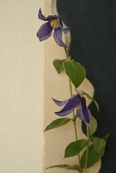 a0091891_23325640.jpg