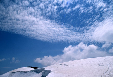 e0125392_17263317.jpg