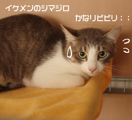 d0071596_1884161.jpg