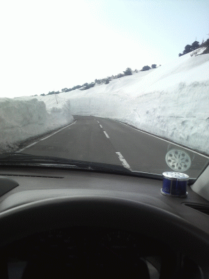 f0124901_21254520.gif