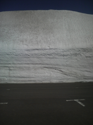 f0124901_21301737.gif