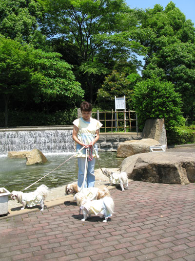 わたしもお揃いドレスで上府中公園_c0011204_15564141.jpg