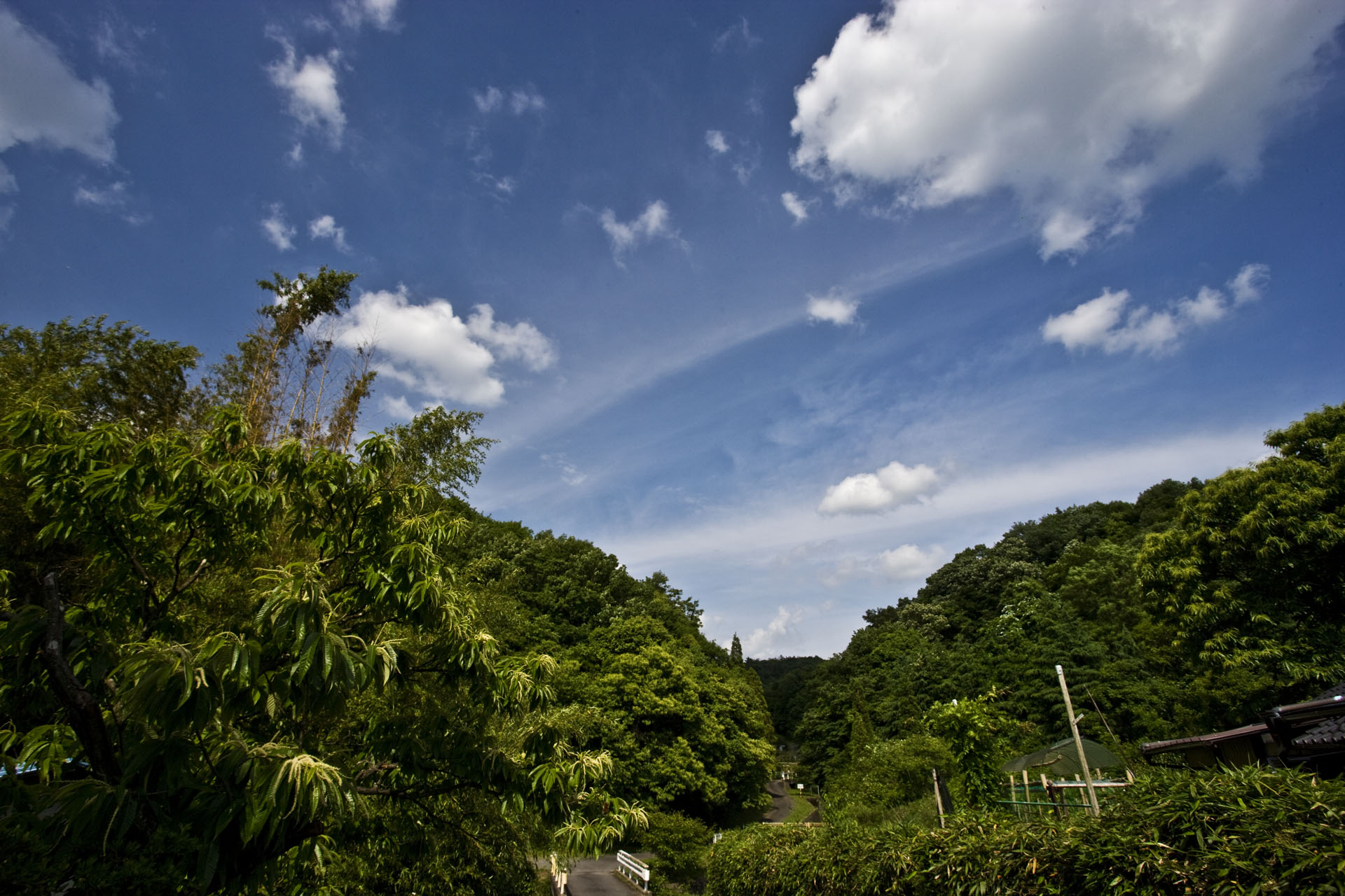 初夏の雰囲気を愉しむ_d0073620_23144522.jpg