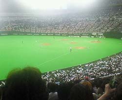 d0127223_1304949.jpg