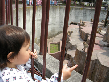 動物園と水族館_c0077831_1403662.jpg