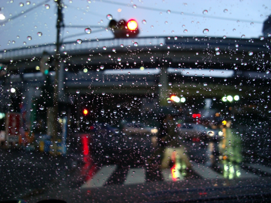 d0066031_2245230.jpg