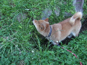 a0054240_2244113.jpg