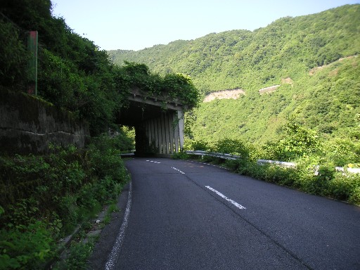 b0088444_2315494.jpg