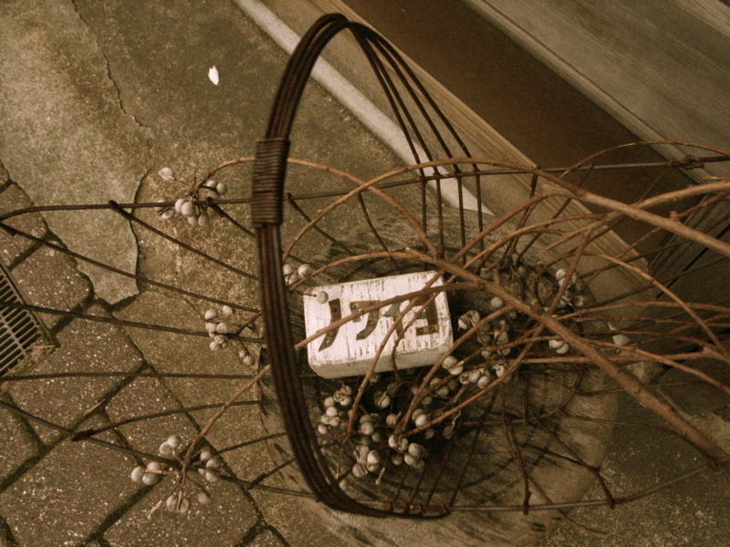f0022547_2010384.jpg