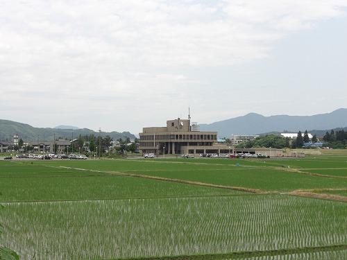 緑の田んぼからの八海山_a0084753_19242466.jpg