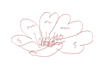 f0176353_1931057.gif