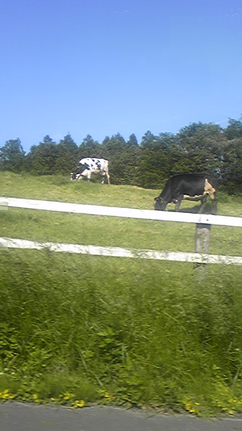 c0006565_03427.jpg