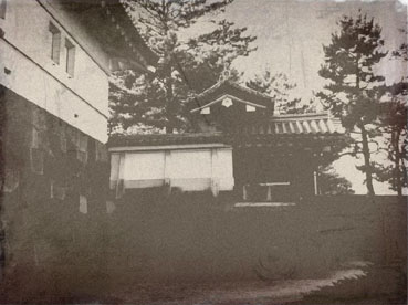 d0080566_191358.jpg