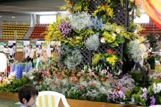 始まった花フェスタin旭川・・・・大雪アリーナ_f0000866_18211552.jpg