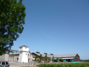 c0123668_1503152.jpg