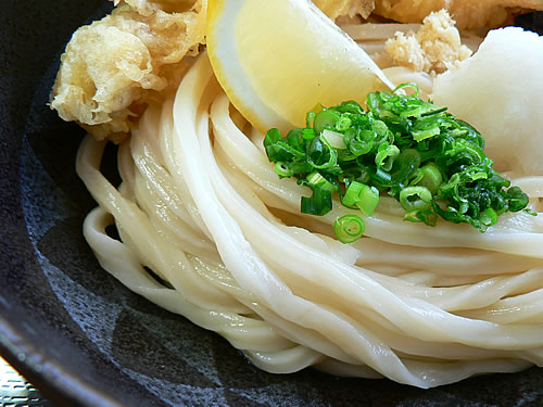 メニュー写真撮影第1回目「満腹」_c0092877_2127100.jpg