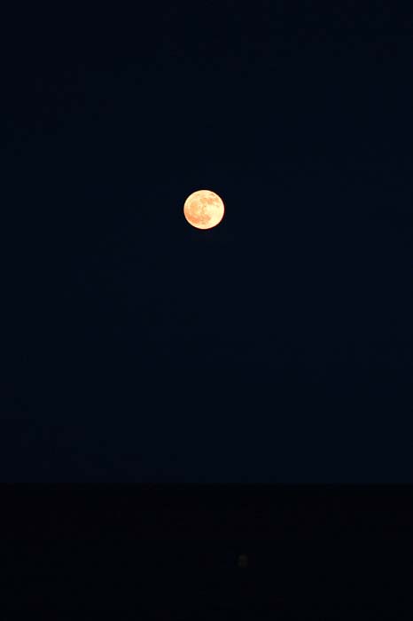 La luna_e0137180_22572087.jpg