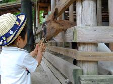 近くの動物園へＧＯ_f0057284_23453567.jpg