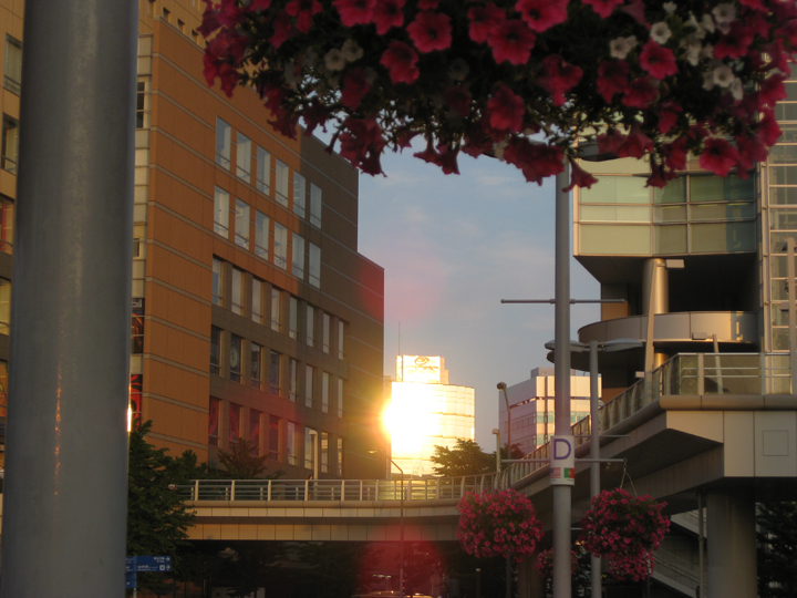 f0164989_5184558.jpg
