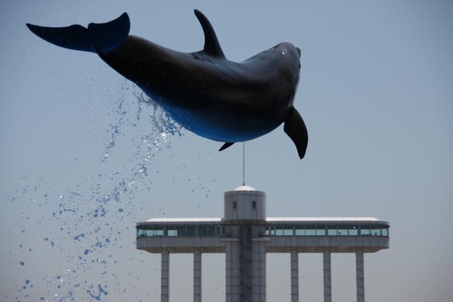 久しぶりの再開～海の仲間_f0138292_22593591.jpg