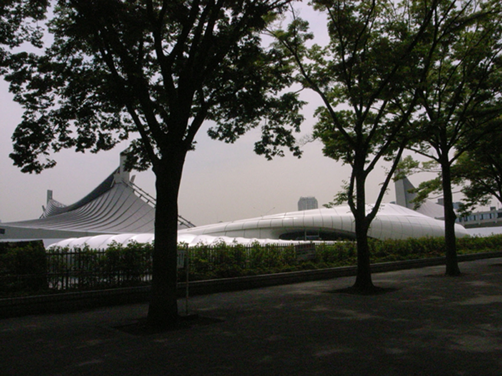 c0031094_1055061.jpg