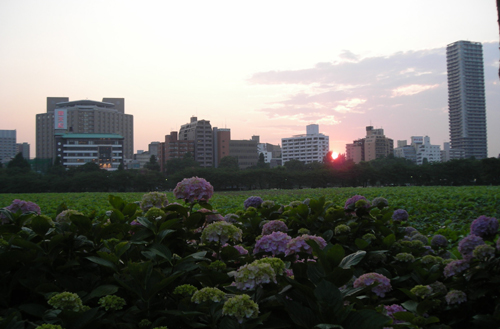 d0000995_23283320.jpg
