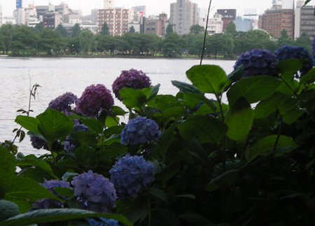d0000995_23315340.jpg