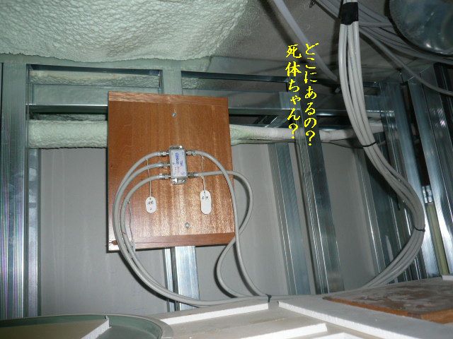 e0094407_1563669.jpg