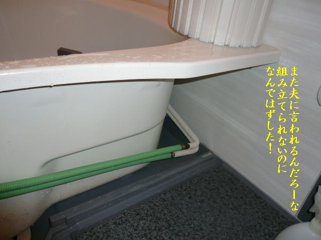 e0094407_2152634.jpg