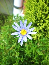 a0090208_2035116.jpg
