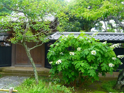 葉山　北鎌倉　その２　東慶寺♪_e0098508_14424362.jpg