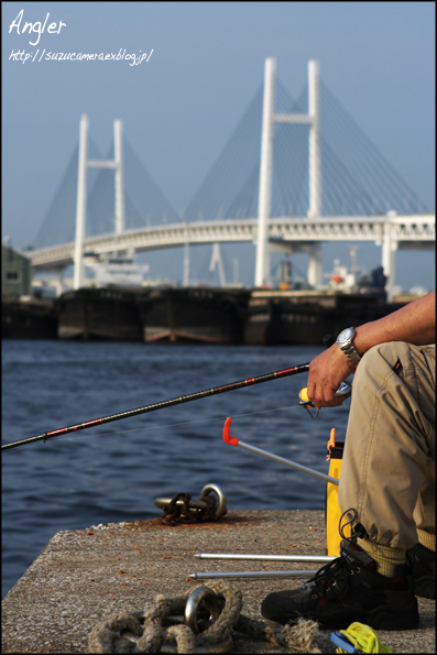 横浜釣師_f0100215_22522844.jpg