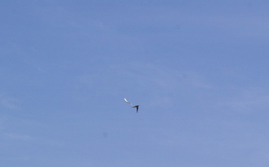 c0012819_0141020.jpg