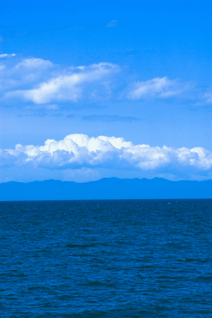 d0019422_1055959.gif